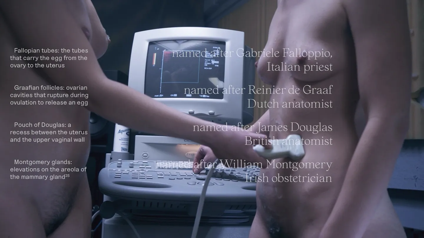 re-c(O)unting I. self-exploring bodies by pamela varela