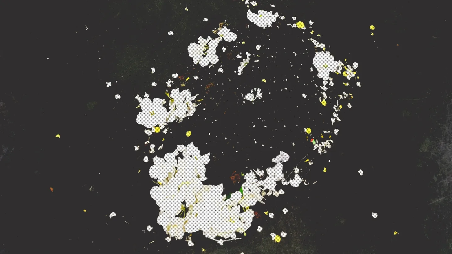 Seeds of Songs by Biliana Voutchkova