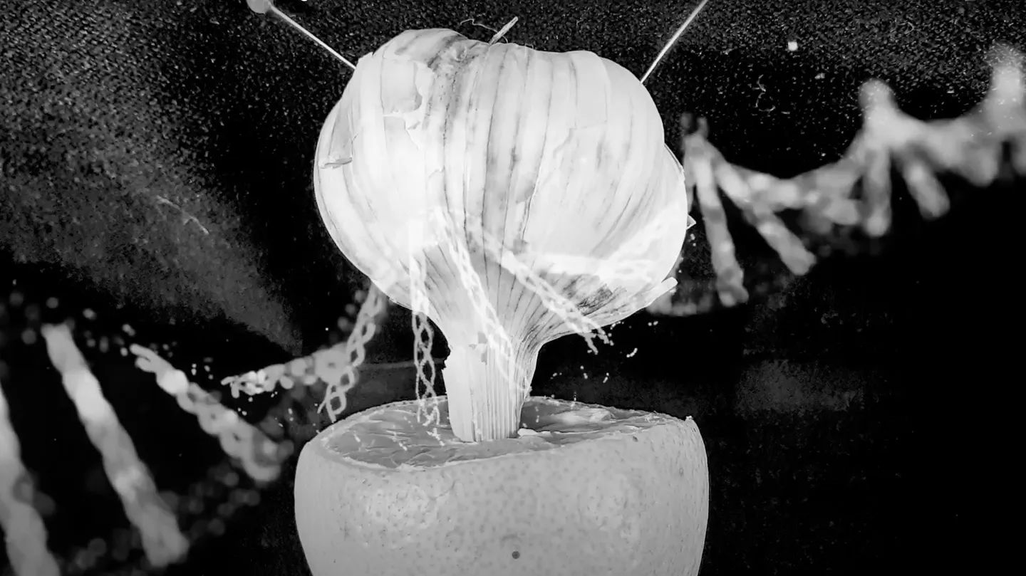 MICROVERSUS / naturficial intelligence by Pablo Zapata