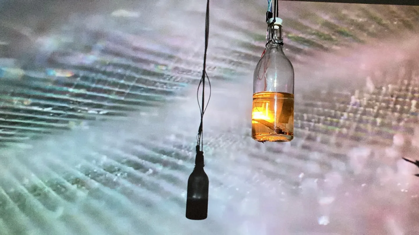 Narrated Liquid Contaminants by Safeya Alblooshi