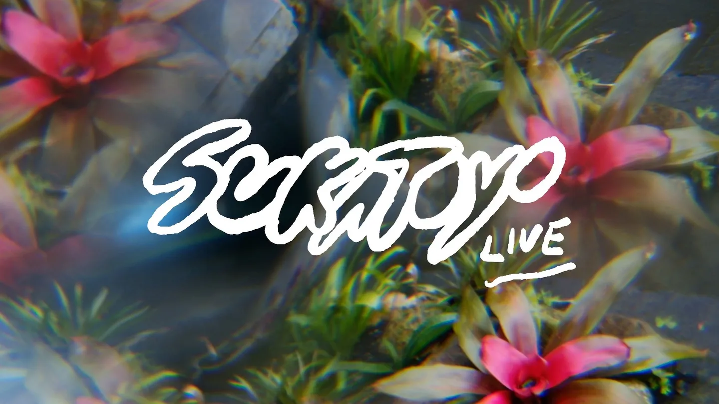 Sukatoyo Live at ~TerraForm~ by aka 199X & Sukatoyo