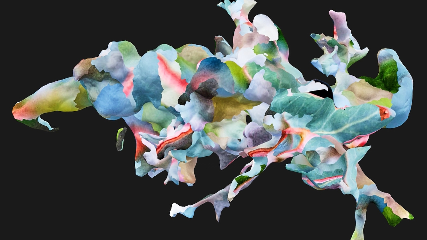 Blue Gall by Linda Loh β CIFRA