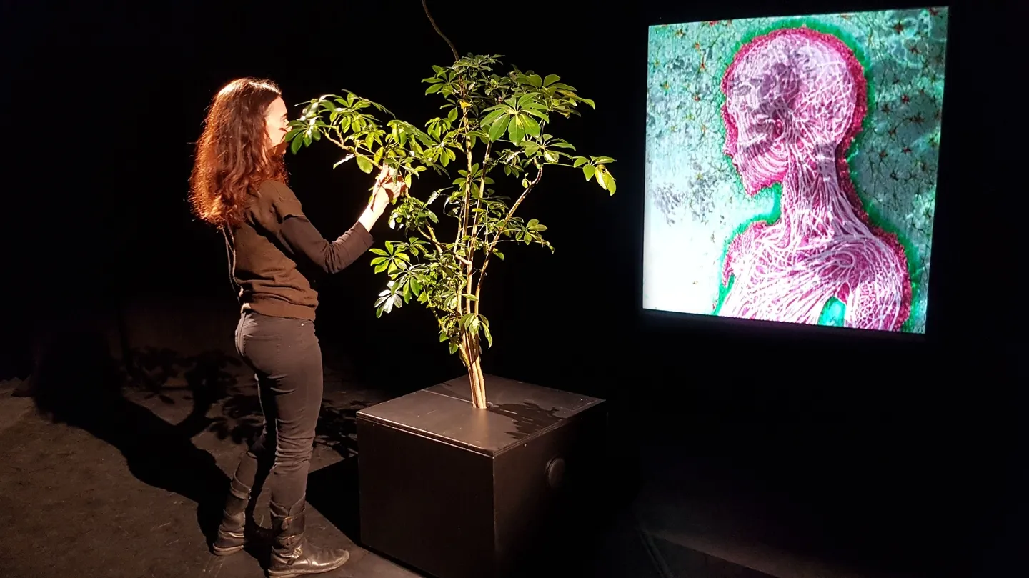 Phytopoiesis by Scenocosme - Gregory Lasserre & Anais met den Ancxt
