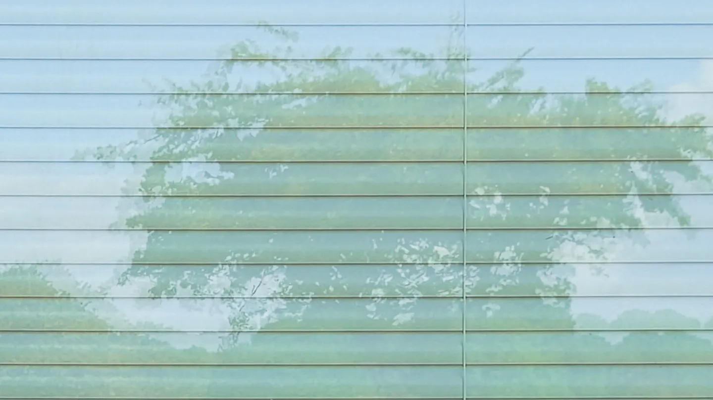 Blind Landscape by Robby Ogilvie