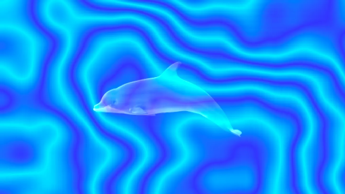 Dolphin by Maya