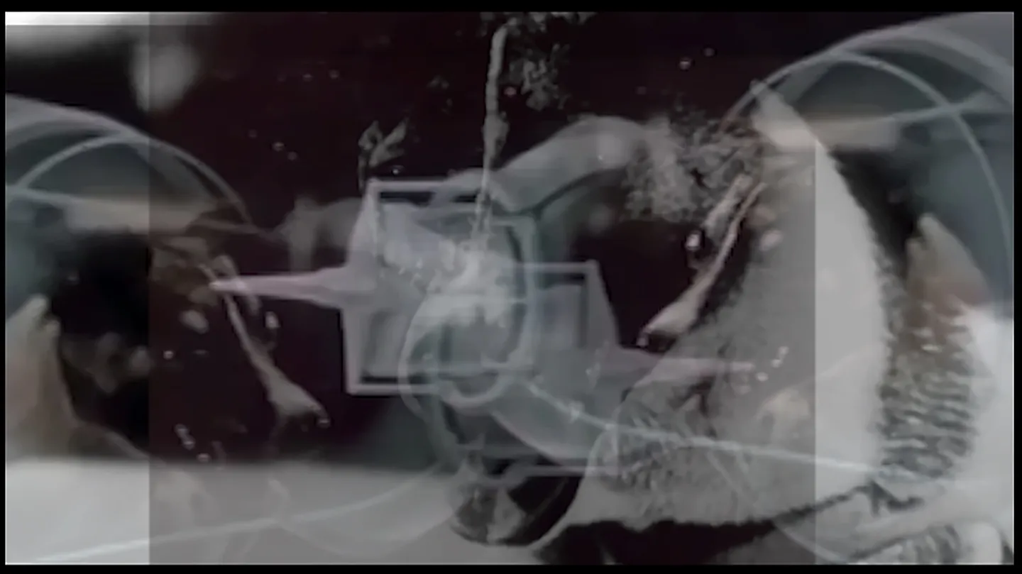 “Laika. The Last Flight” by Masha Godovannaya