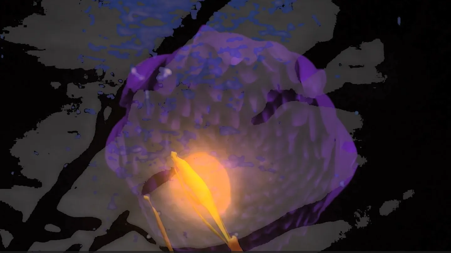 rooting hands by Alejandra Montoya