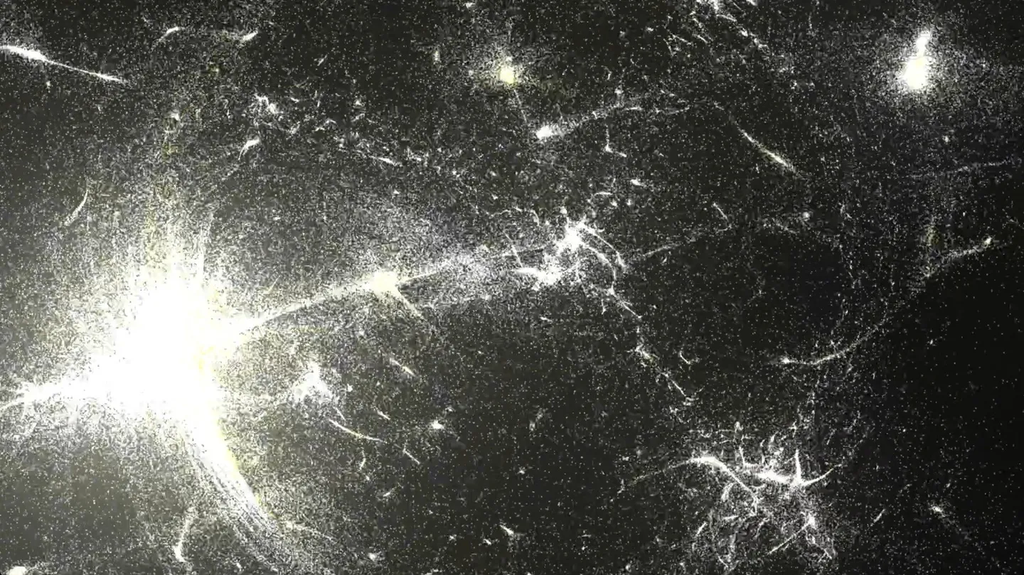 Singularity by flow-er（Zhipeng Wang）