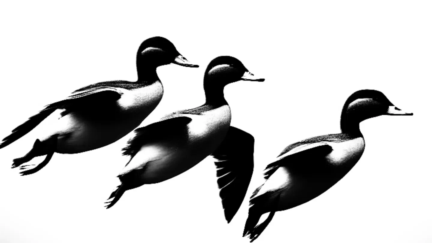 the ducklings by Nick Peustjens
