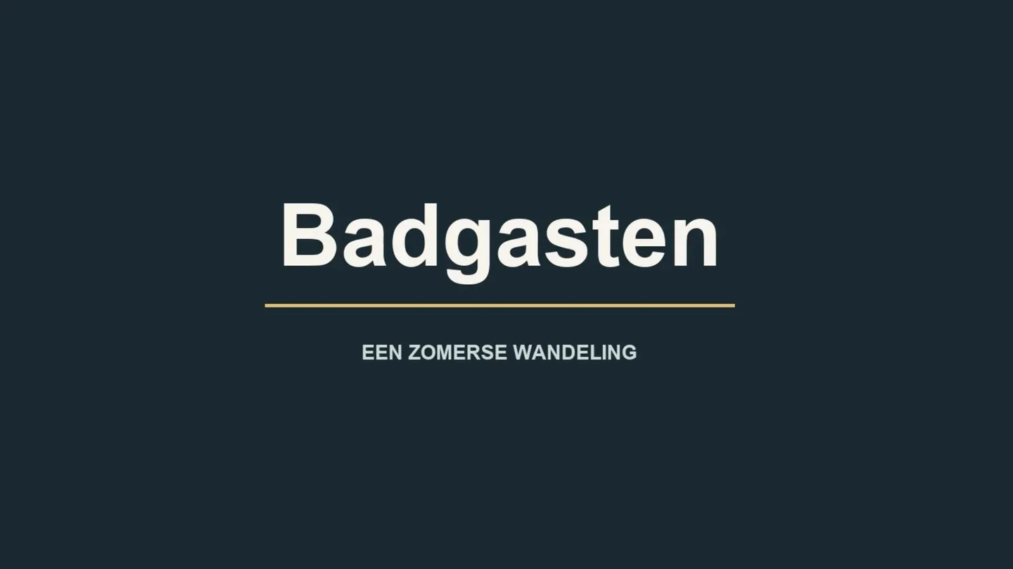 Badgasten by Willem Vanderoest