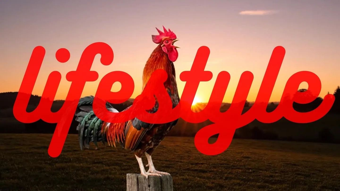 lifestyle by Eduardo Montelli