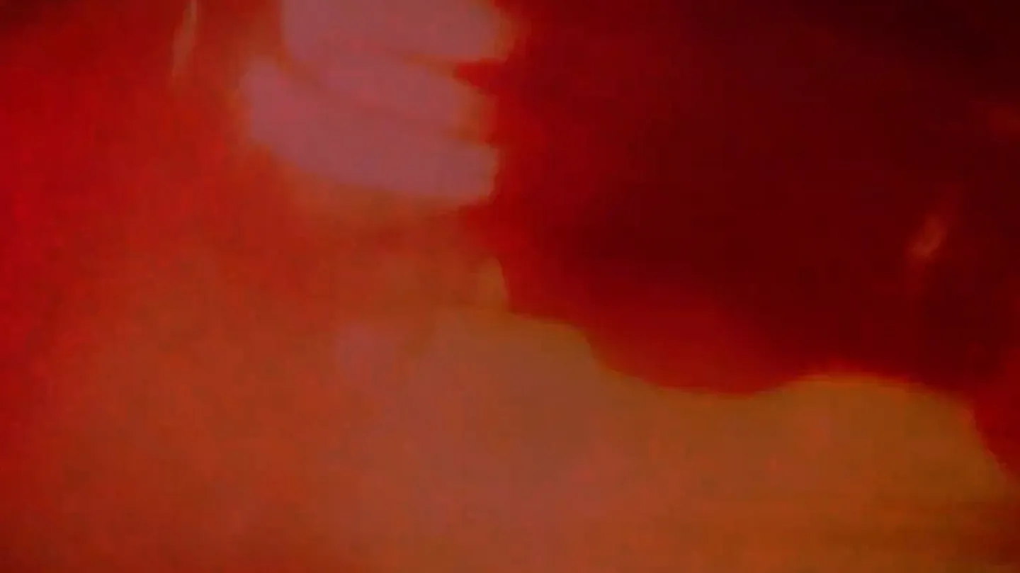 Internal view by Masa