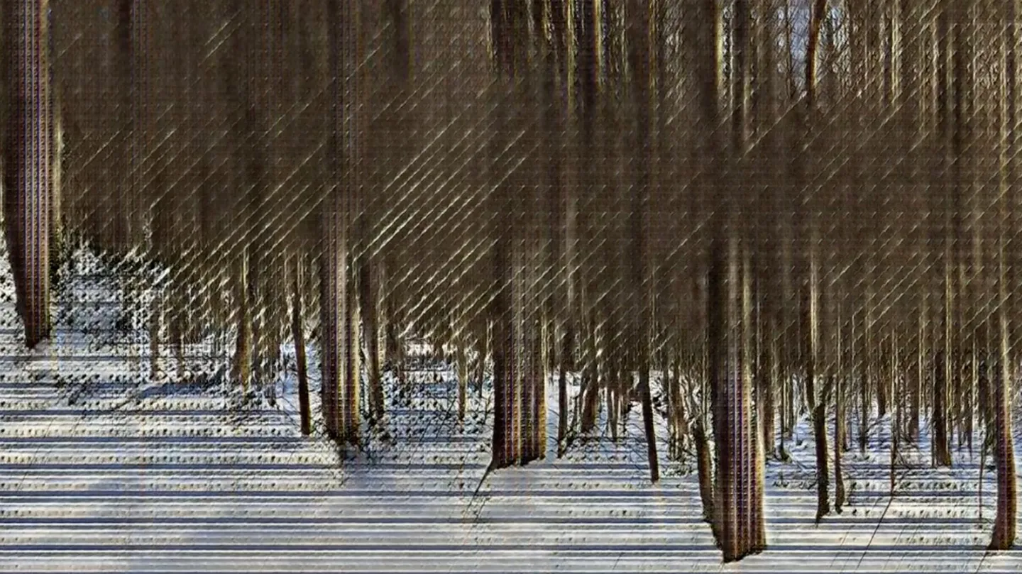 Winter Woods (b59g,7300,a8) by David Young