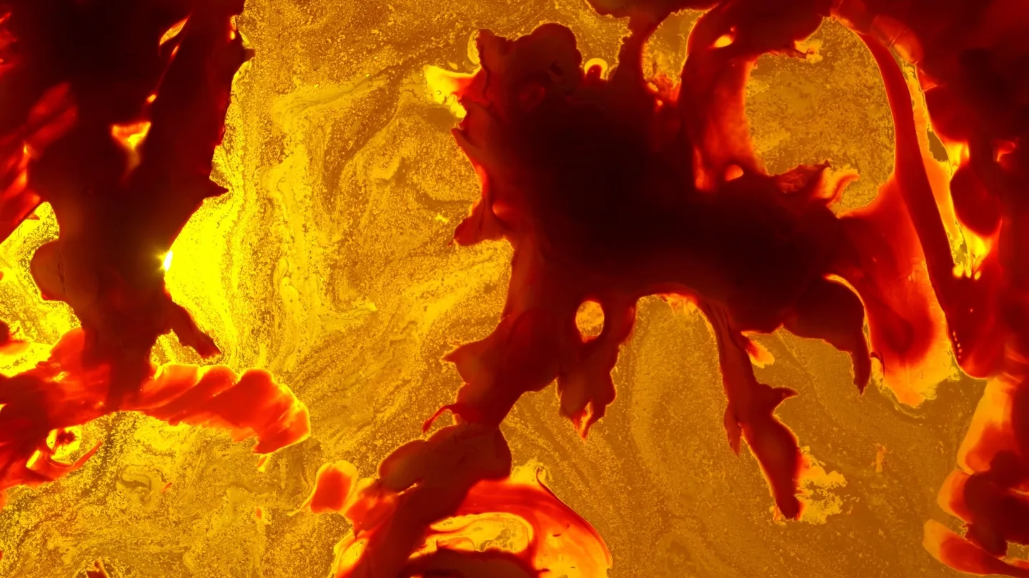 Flint House Lizard by Ani Schulze