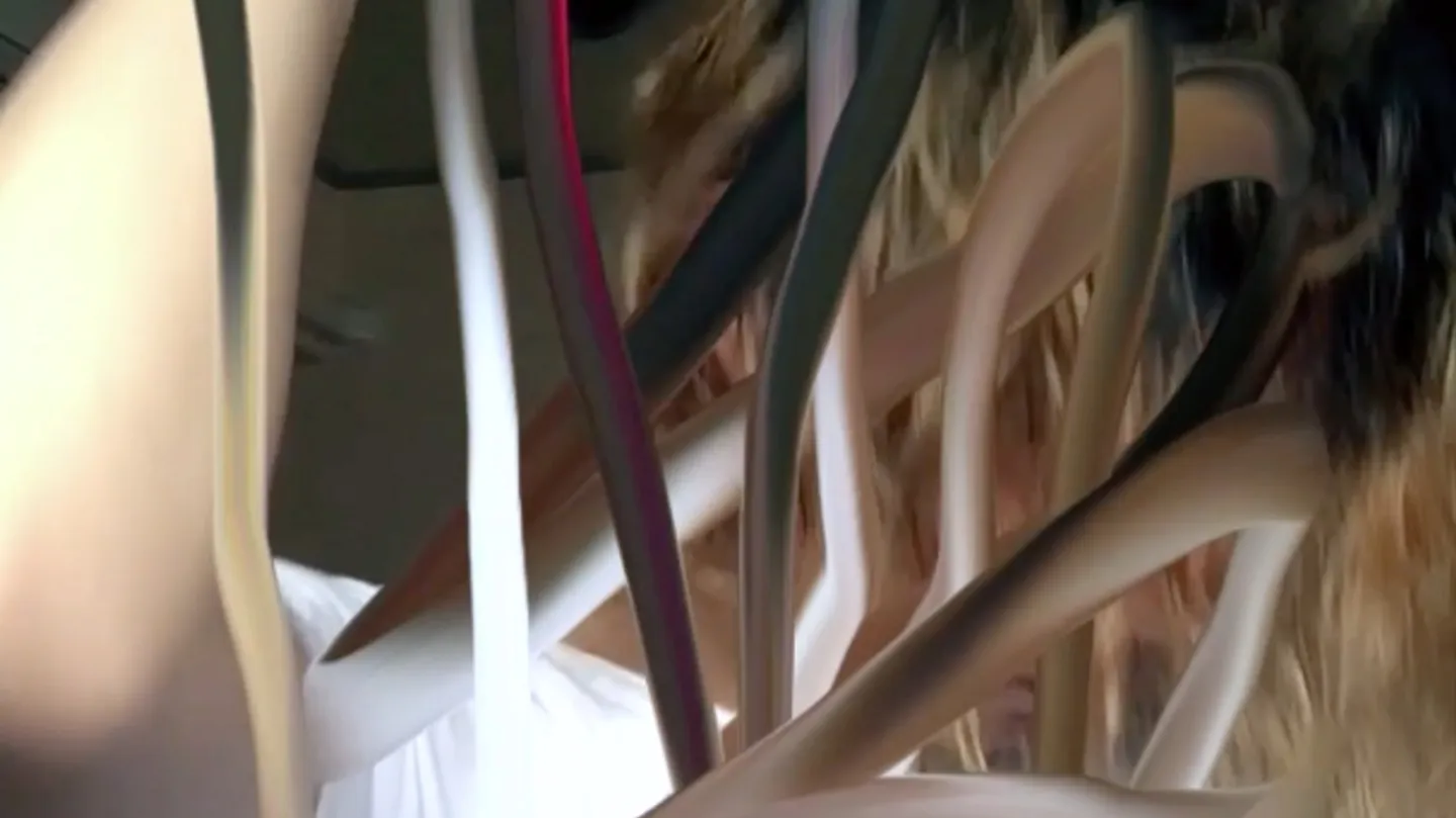 untitled (dry hair) by Kenta Cobayashi