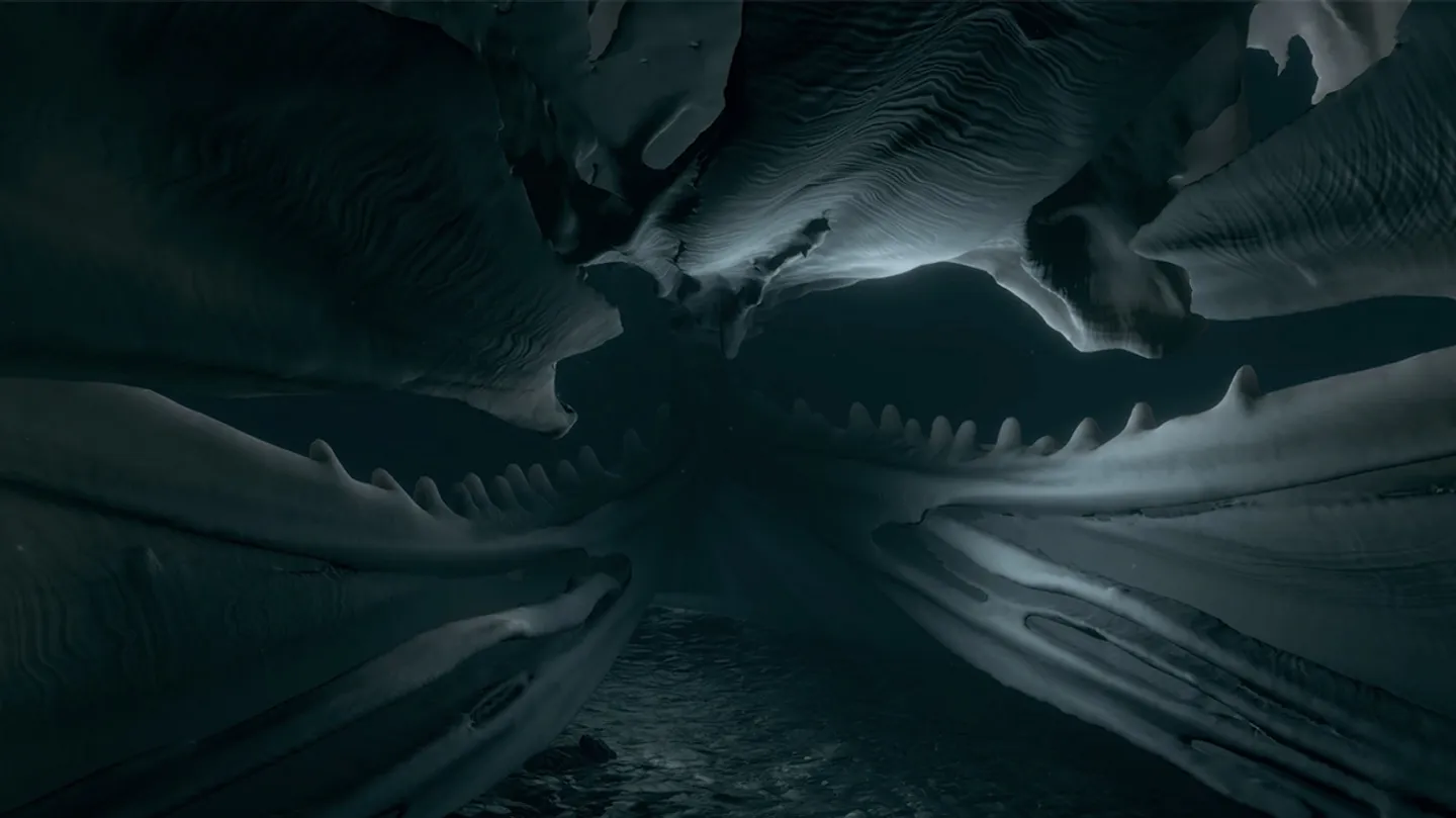 The Bone (video edition) by Michelle-Marie Letelier