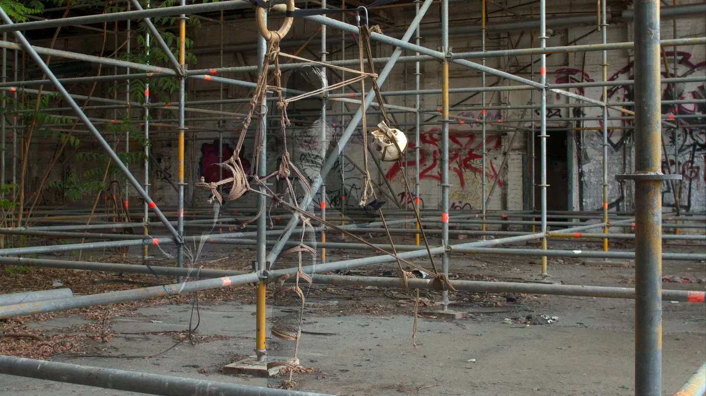 Attempt to capture narcissistic ghosts 2 by guilherme peters