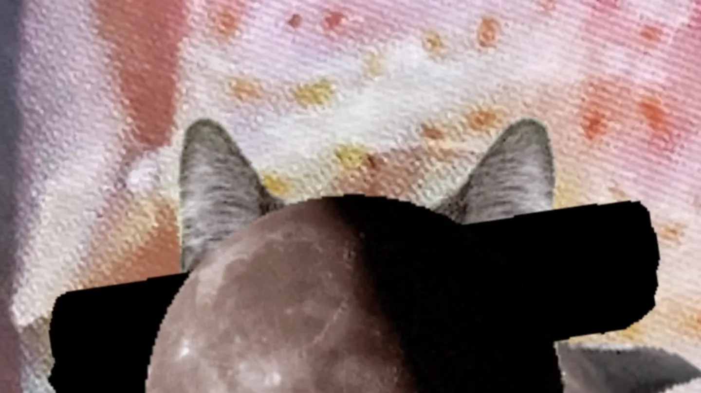 untitled (freaky cat) by Anouk Kruithof