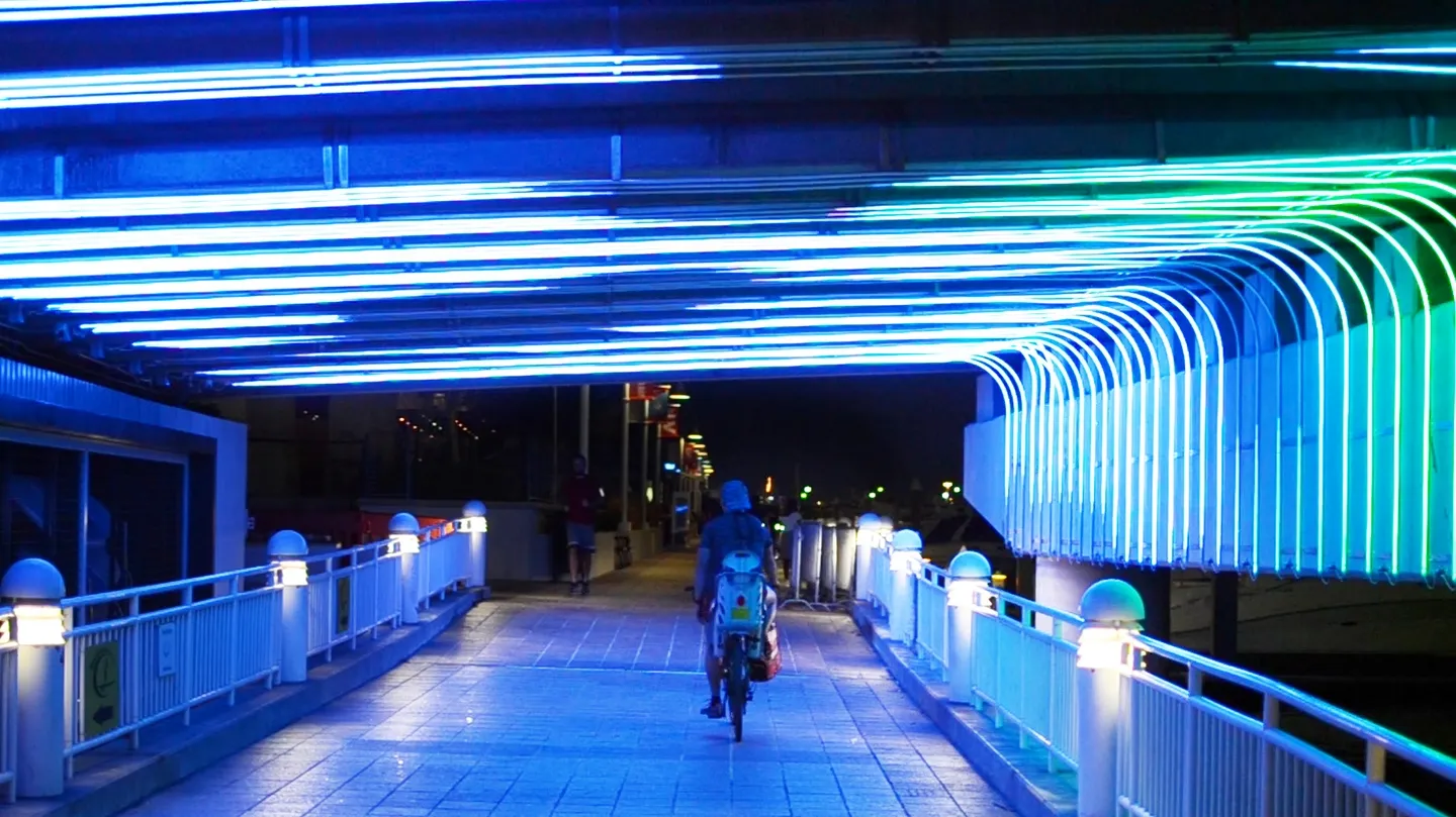 BioBridge by Andrea Polli