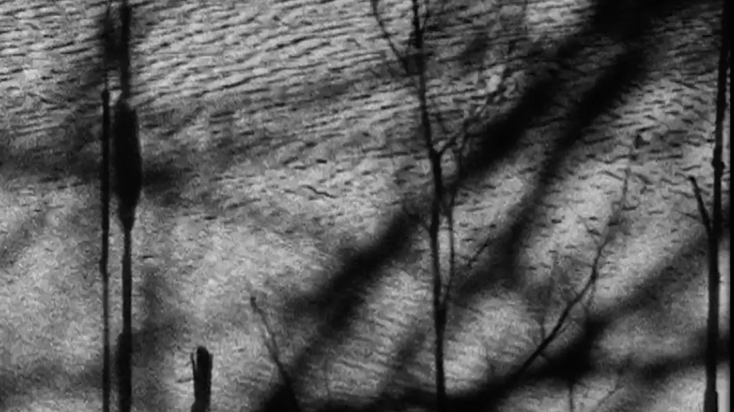 Filter Beds by Guy Sherwin