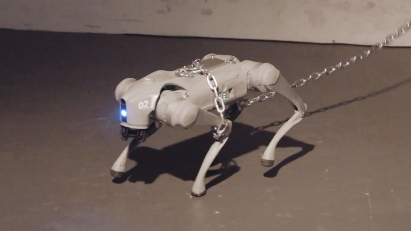 This Robot Dog Almost ESCAPED The Leash by CIFRA TV