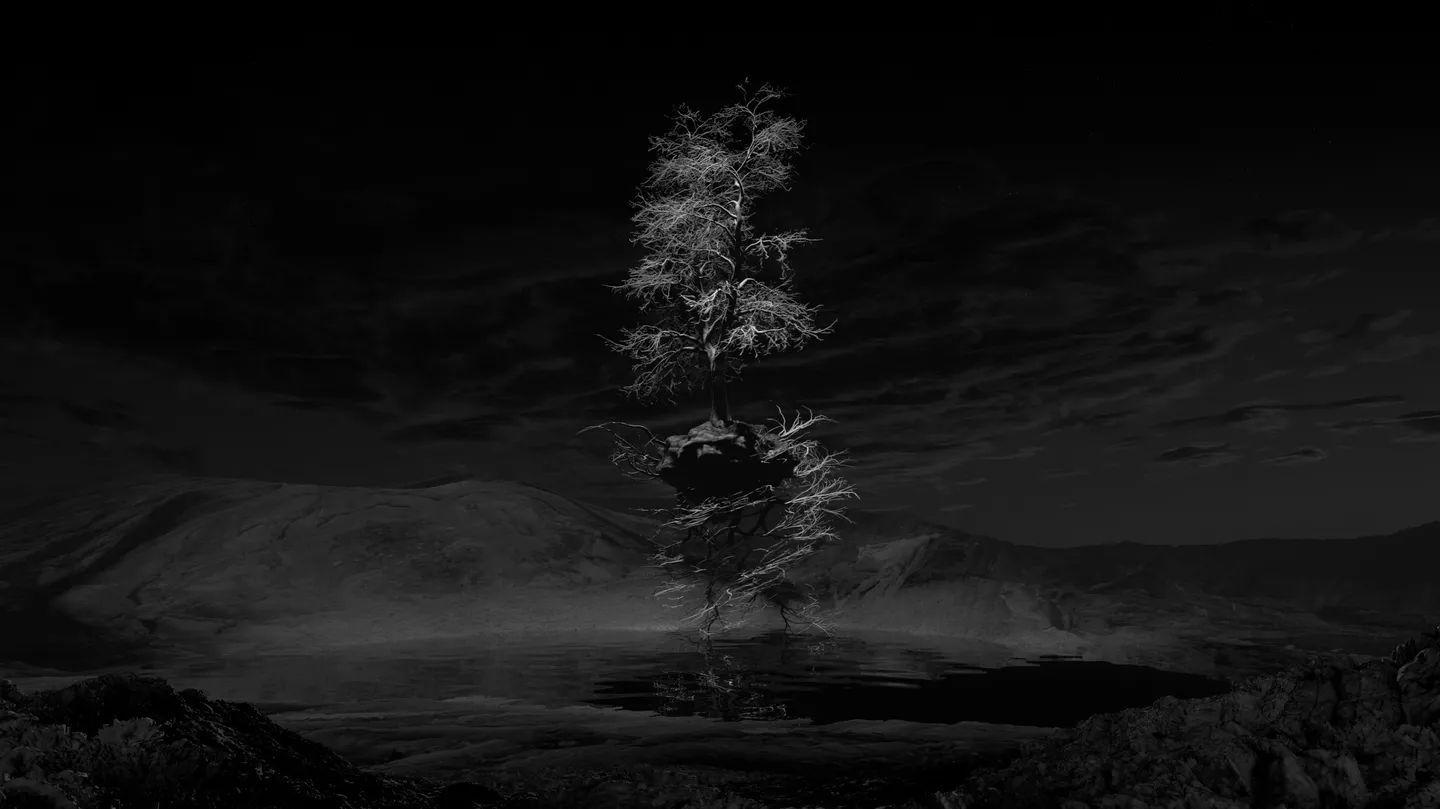 The Poisson's Equation (II) by alexandra crouwers