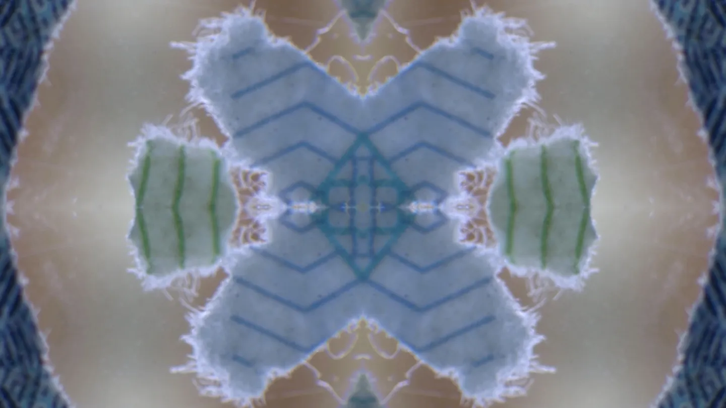 The regulation of Circulation by jiyenlee