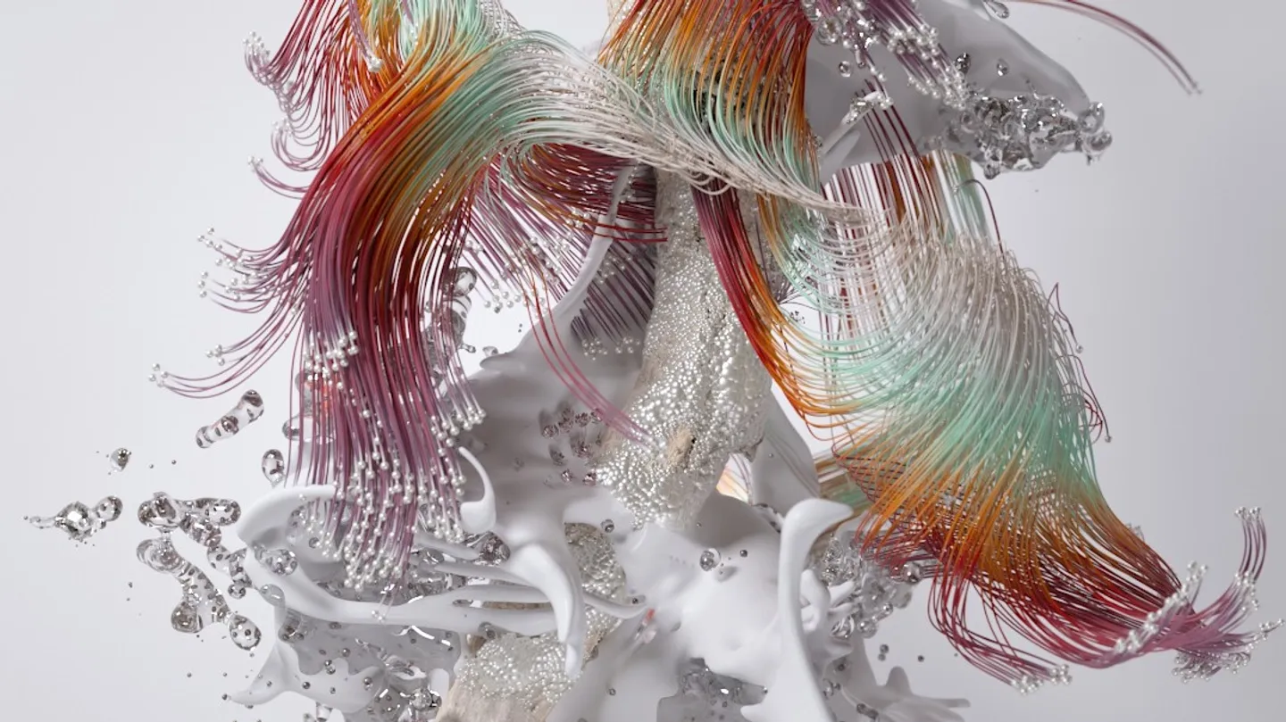 Succession by Hotaru Visual Guerrilla