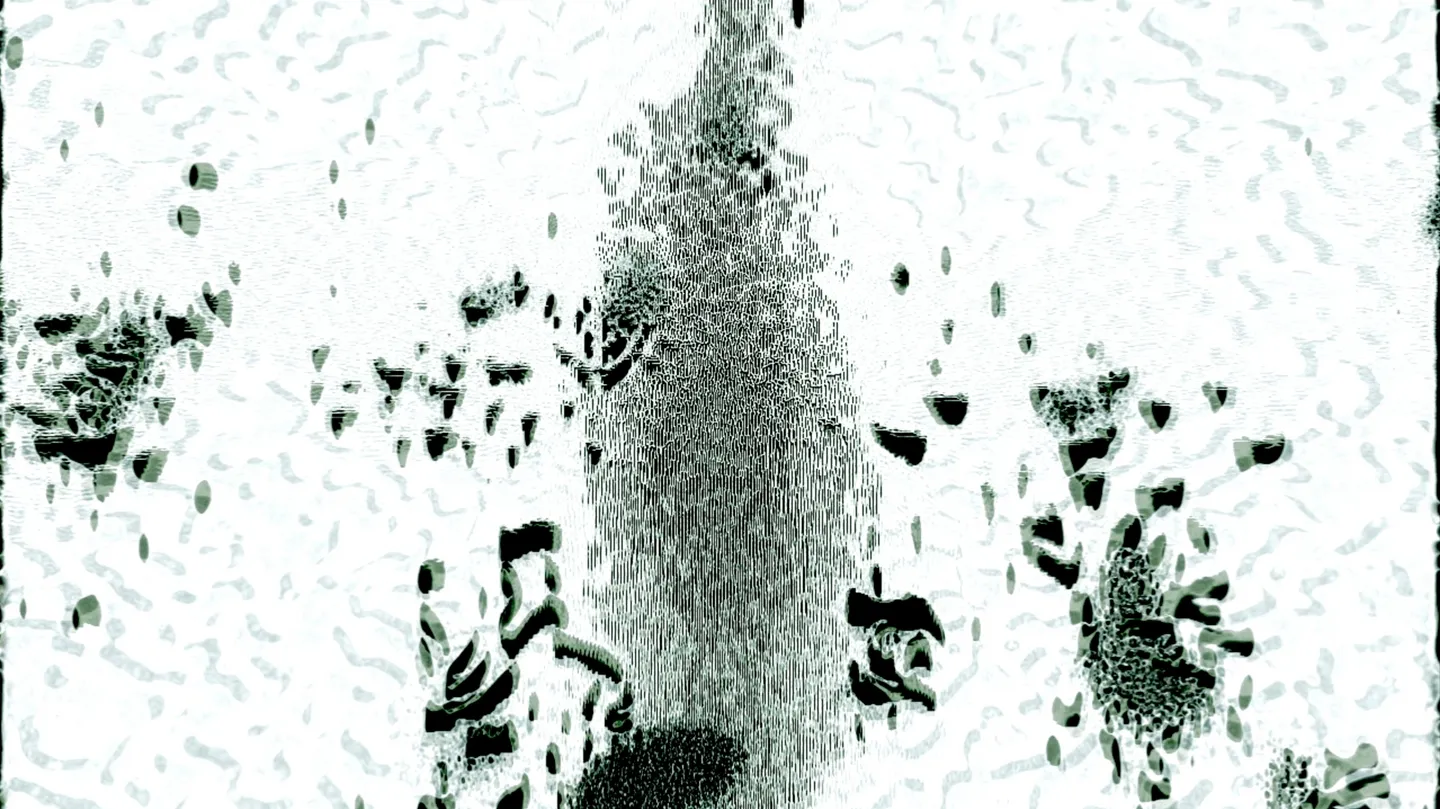 “Spartinia Maritima DNA” (2023) by Alessandro Zannier