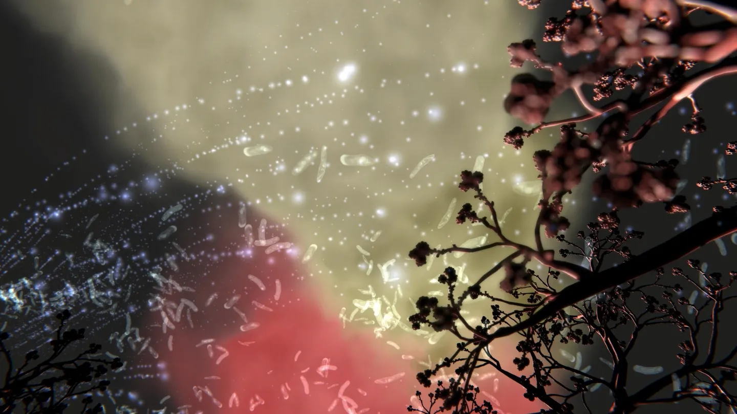 Susceptible by Anna Dumitriu