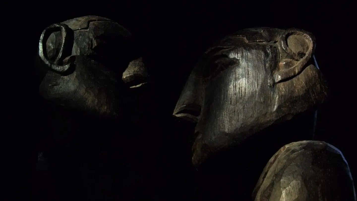 Video manipulation "Reverse Colonial Search" by Ioan Colbeanu