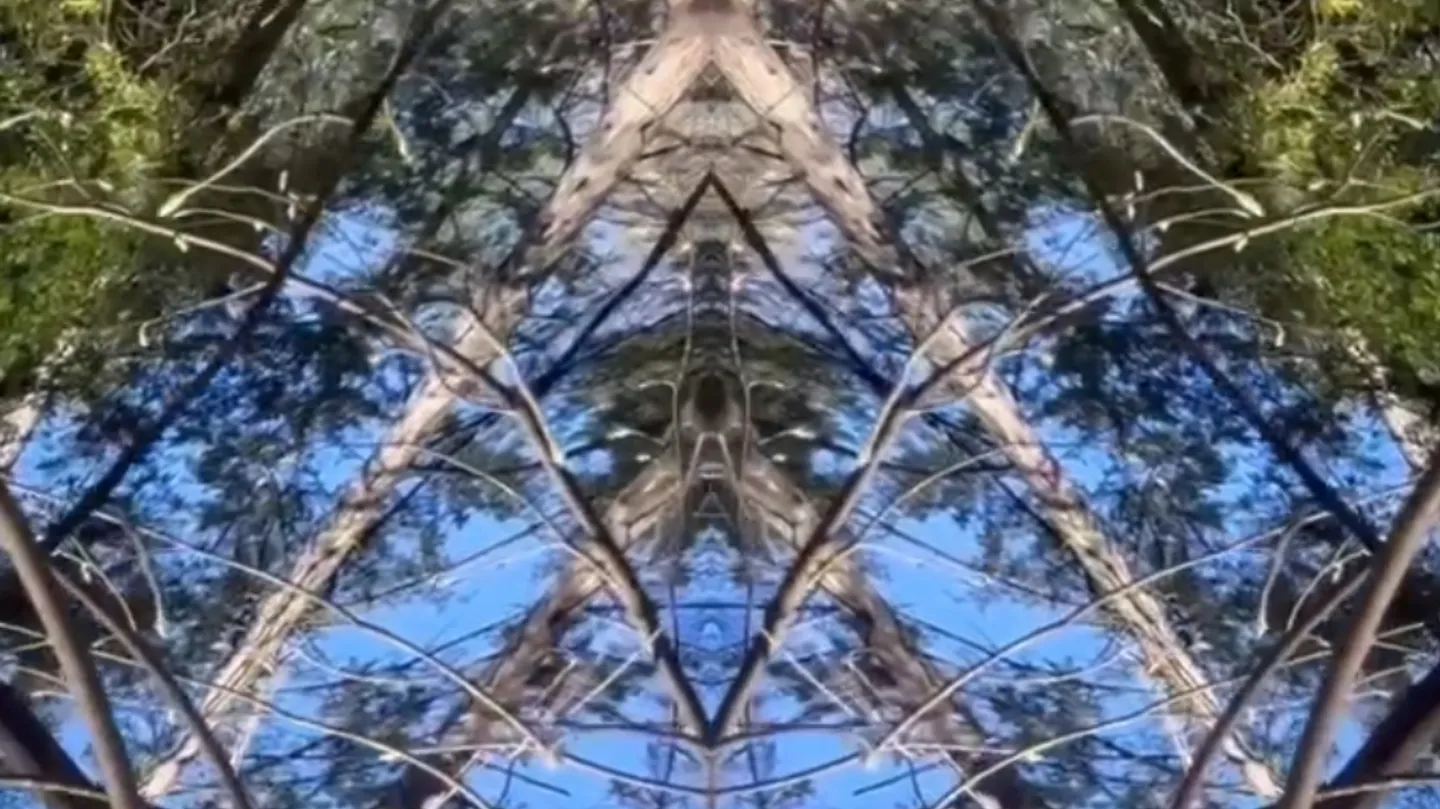 Leaning Towers of Light and Meaning by Matthew Liam Nicholson