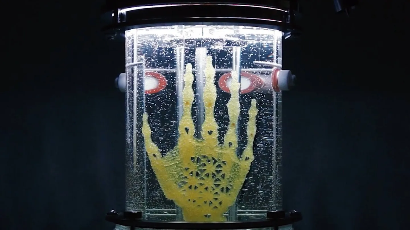 Bringing Bones to Life by Artist Amy Karle