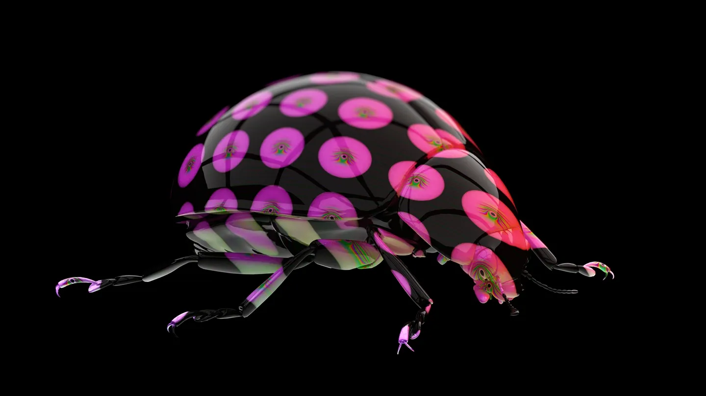 AI Beetle - compilation by Frederik De Wilde