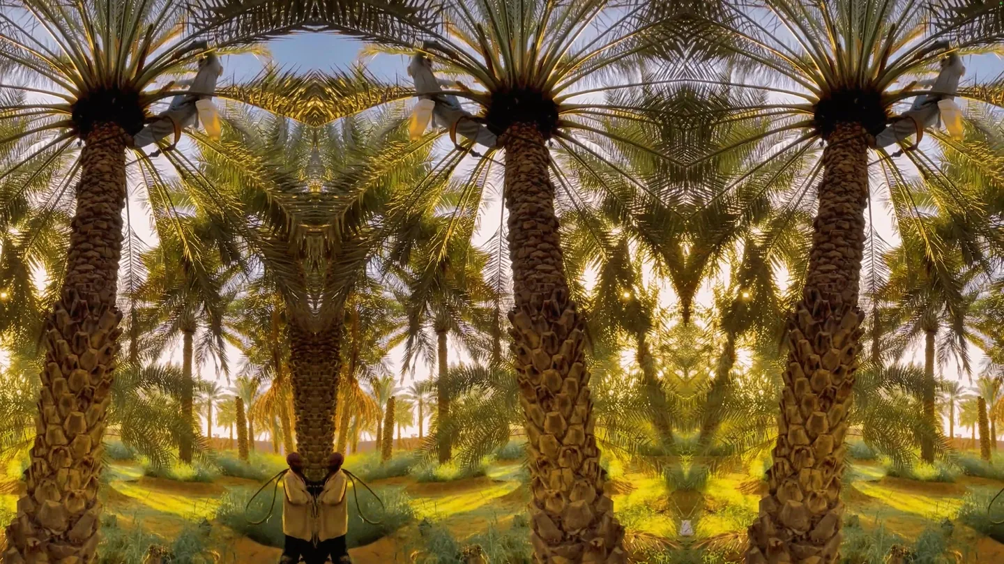 Physiognomy, Land and Territory by Ahmad AlAreef