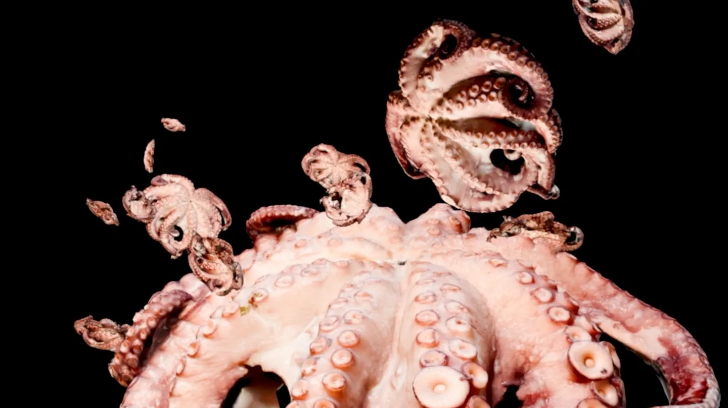 Soy Dreams (dream 1) by Elisa Duca