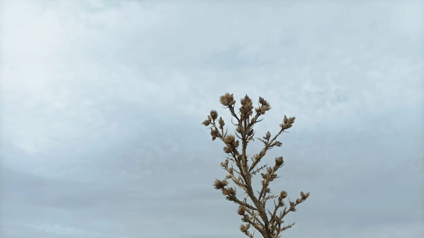 Persecución / Persecution by +Beatriz de Prada+