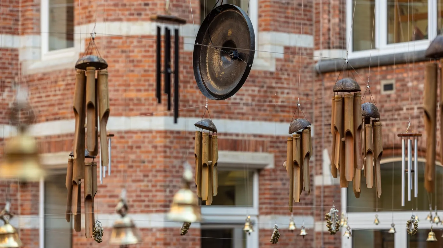 Dhvāni 2025 by Budhaditya Chattopadhyay