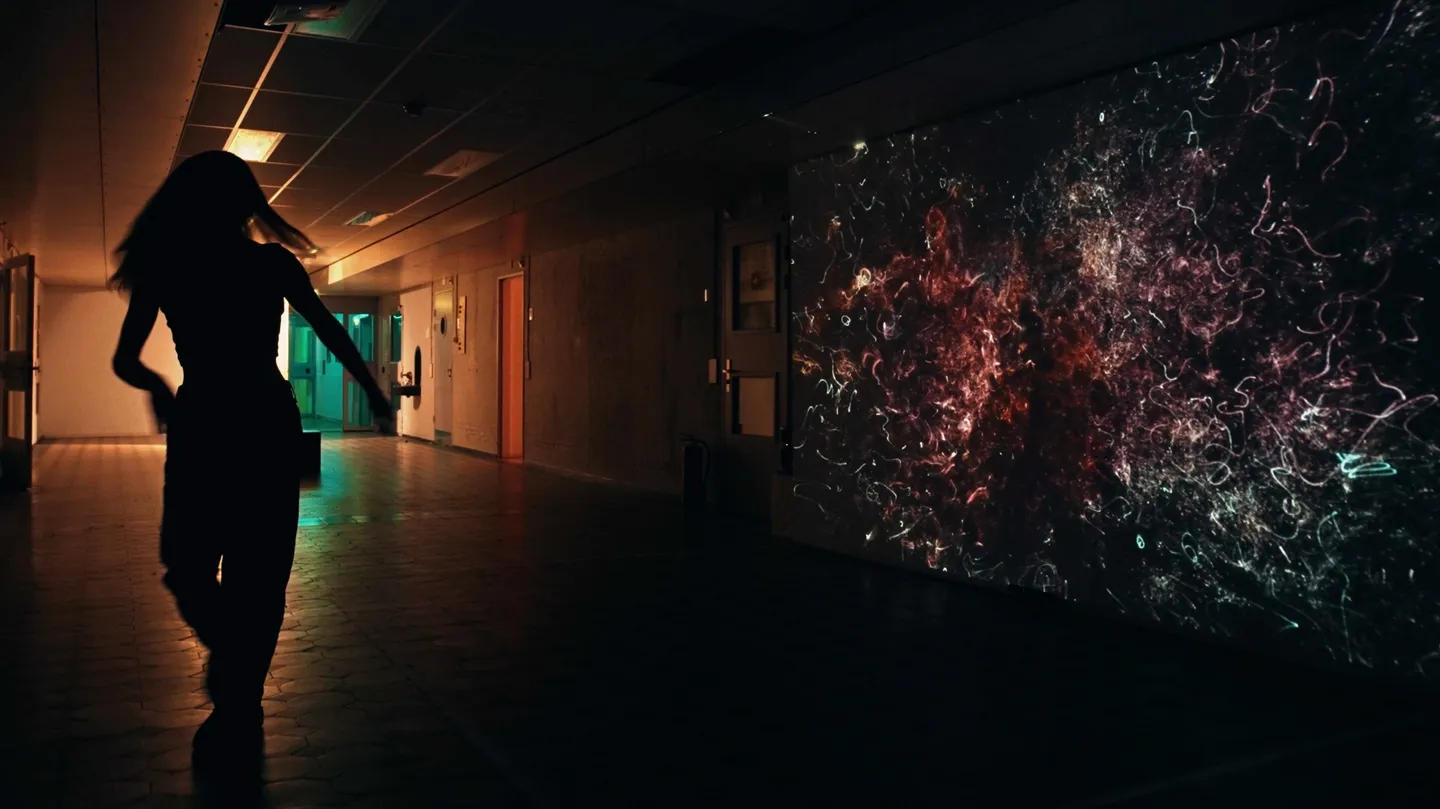 Sensorimotor by Arash Akbari