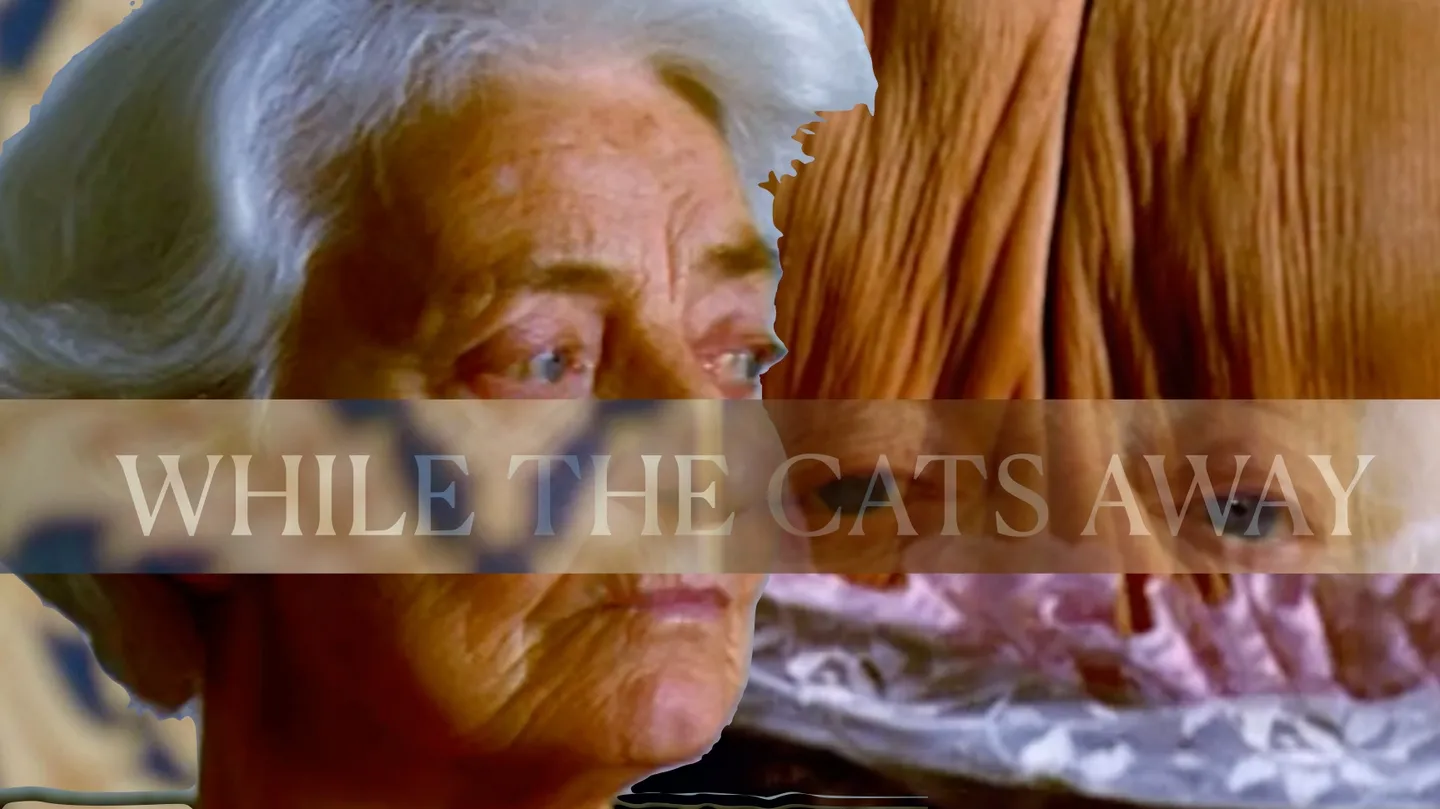 WHILE THE CATS AWAY by Helena Jonsdottir