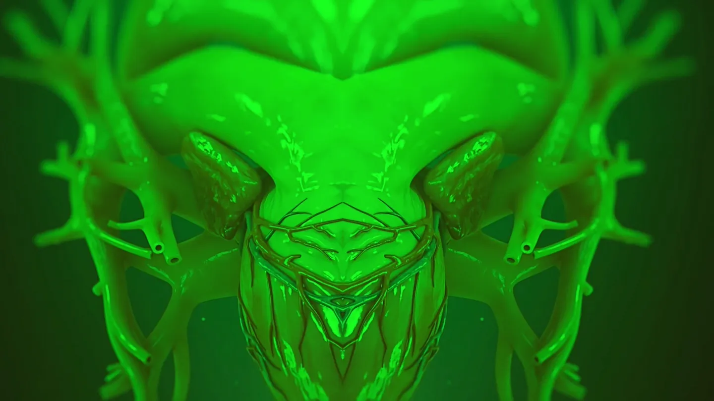 WHY DO WE KILL - Trailer by Nina E. Schönefeld