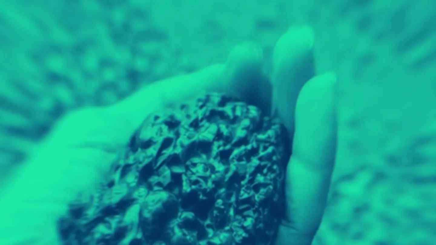 On the Wings of Values by Hoffnungsfalter