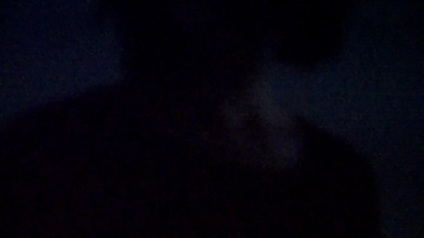 Dear System, by Alejandra Montoya