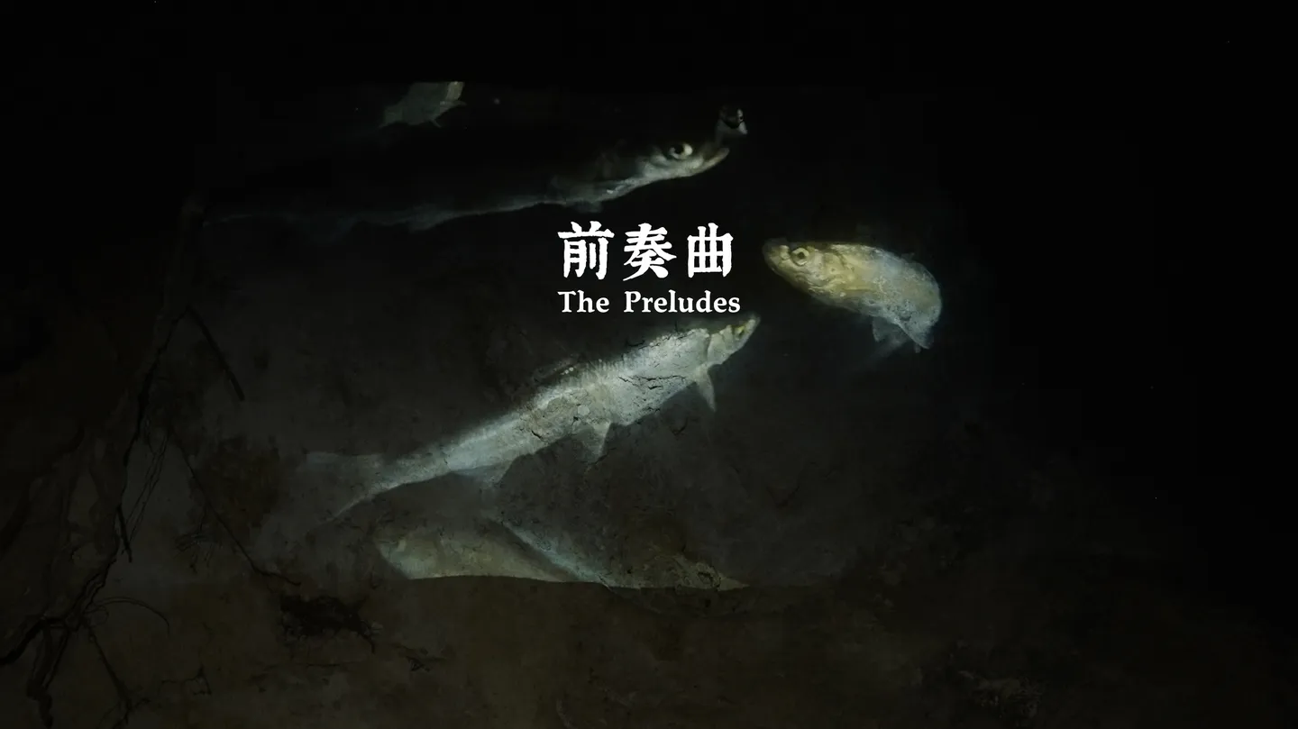 The Preludes by Cheng Xinhao