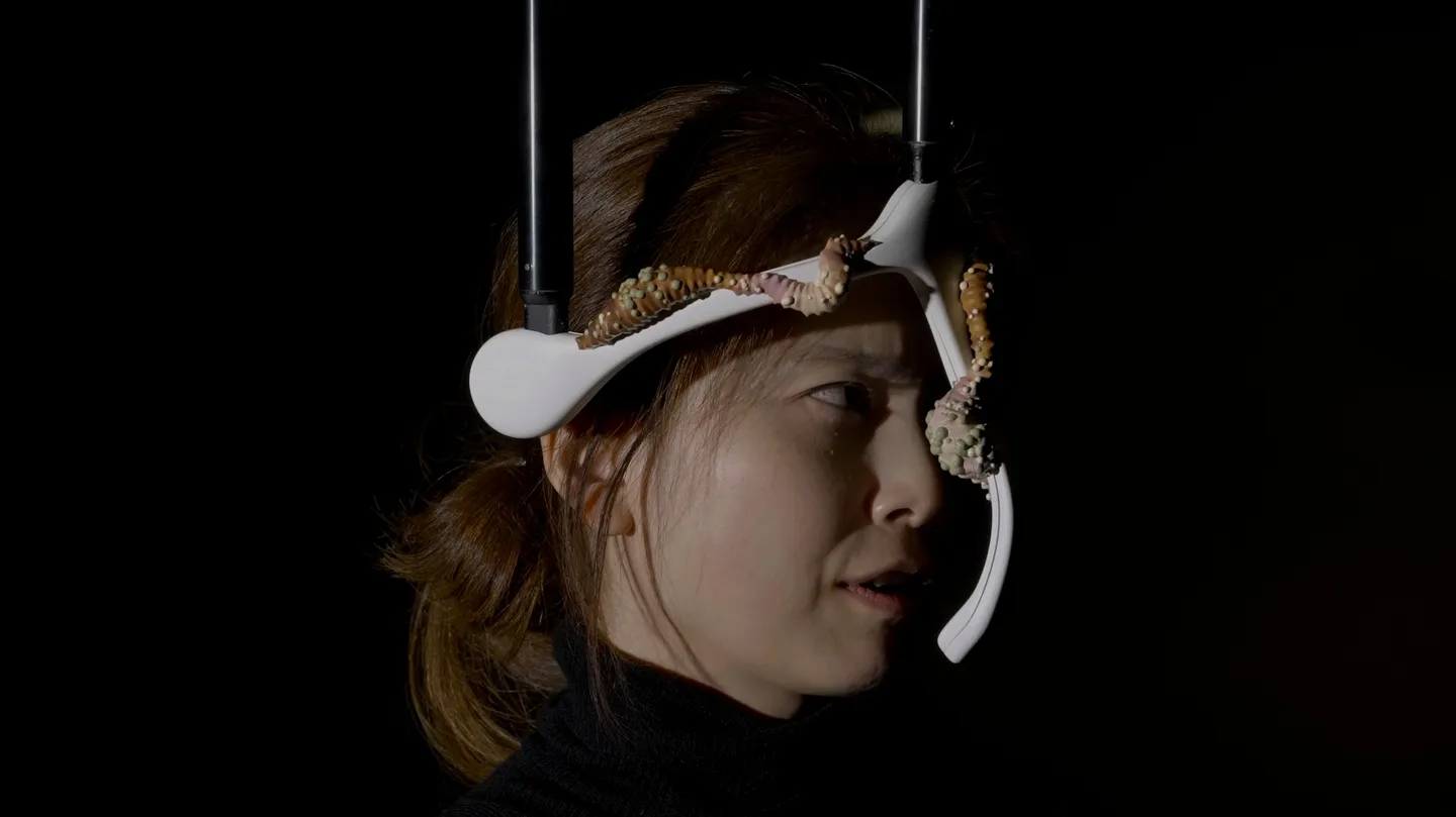 Gradi Predict by k0j0