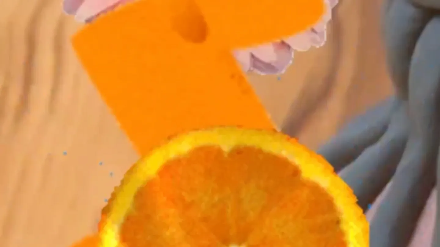 untitled (flower orange) by Anouk Kruithof