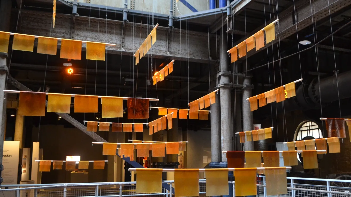 Connective Tissue by Elia Gasparolo