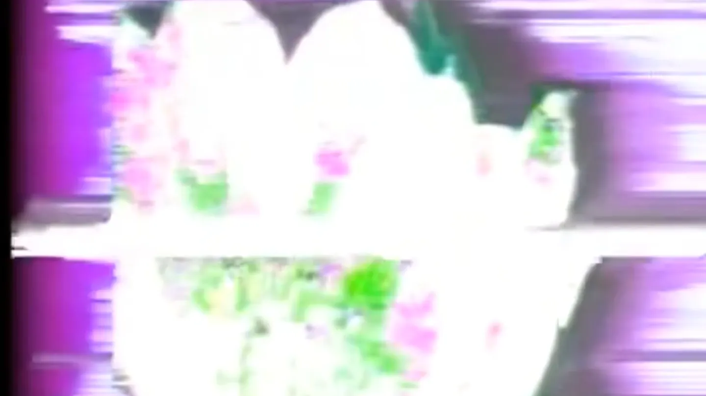 sinng a sonng {visualizer} by 049