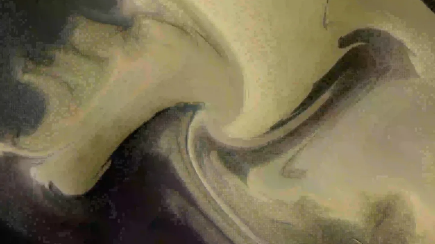 Naturmaschine X by Jaime de los Ríos by Harddiskmuseum