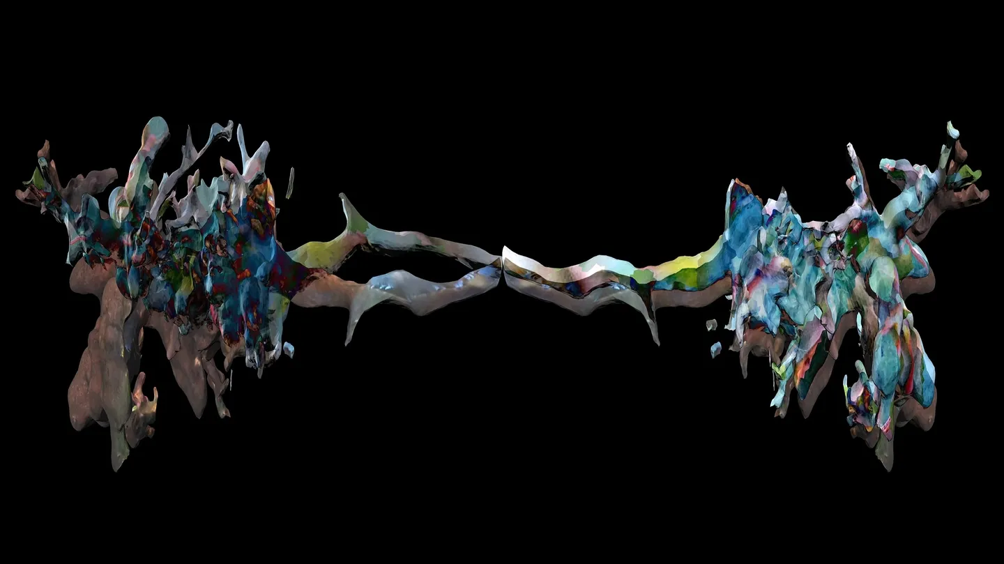 Blue Gall R/Evolution by Linda Loh